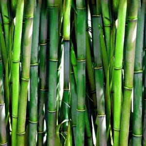 Bambusové pletací jehlice